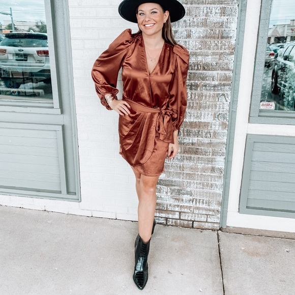 Bronze Long Sleeve Dress - Picture 3 of 8